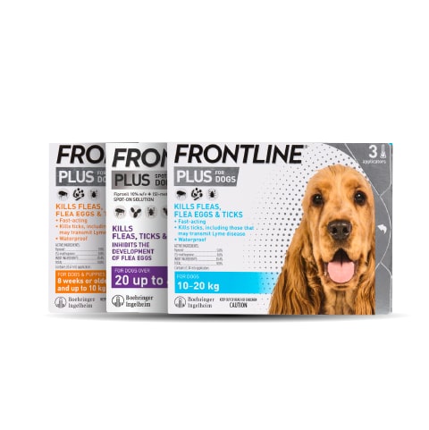 Nhỏ gáy Frontline Plus hàng tháng cho Chó Mèo